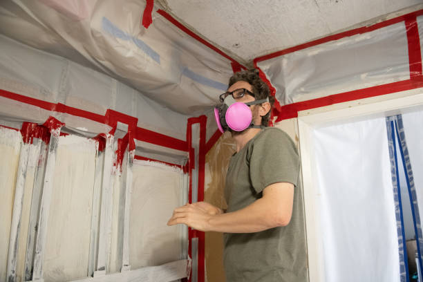 Best Attic Mold Removal  in Mount Gay Shamrock, WV